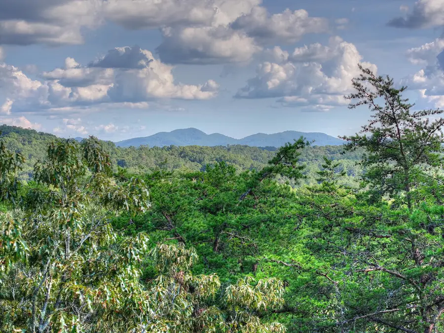 Lot #38 Ridgeline Lane, Mineral Bluff, GA 30559 - #3