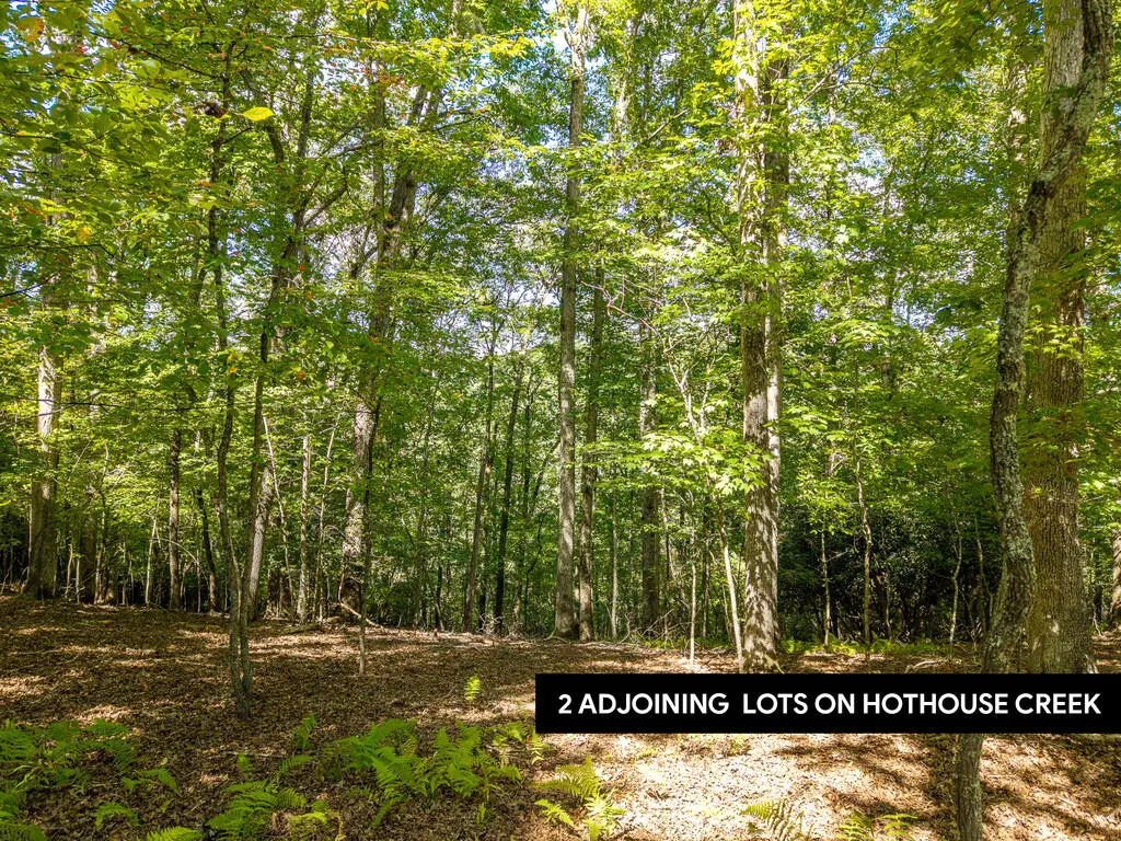 LT 27/28 Donna Lee Lane, Mineral Bluff, GA 30559 - #1