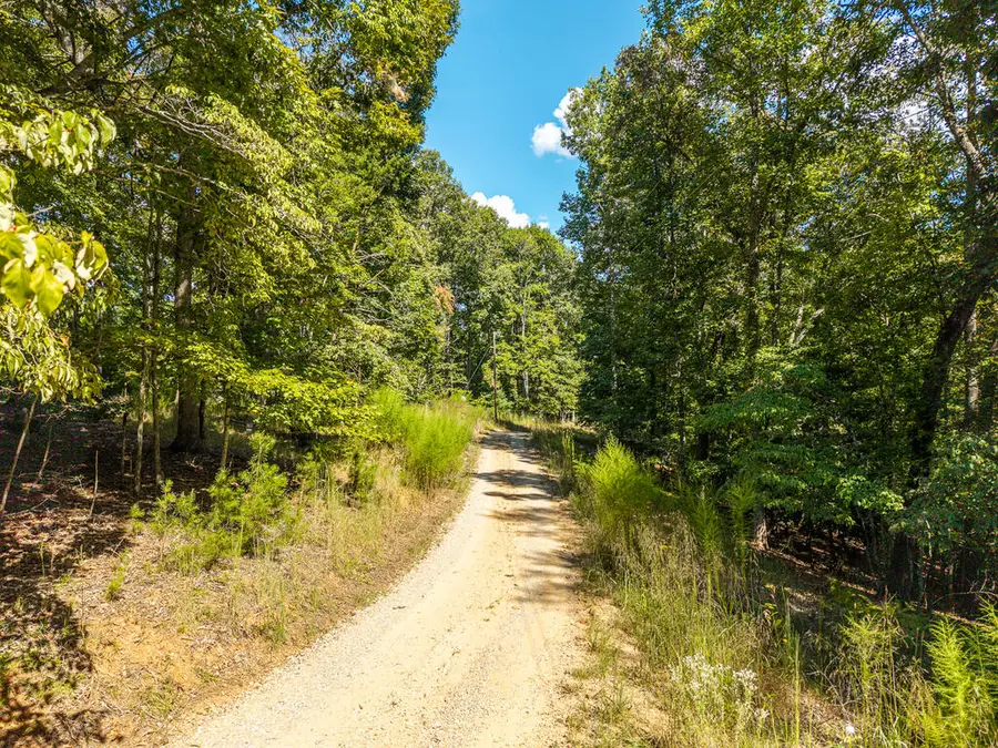 LT 27/28 Donna Lee Lane, Mineral Bluff, GA 30559 - #3
