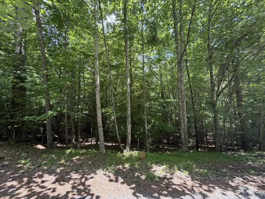 204 Guidon, Ellijay, GA 30540 - #2