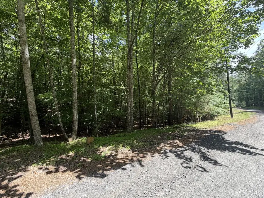 204 Guidon, Ellijay, GA 30540 - #3