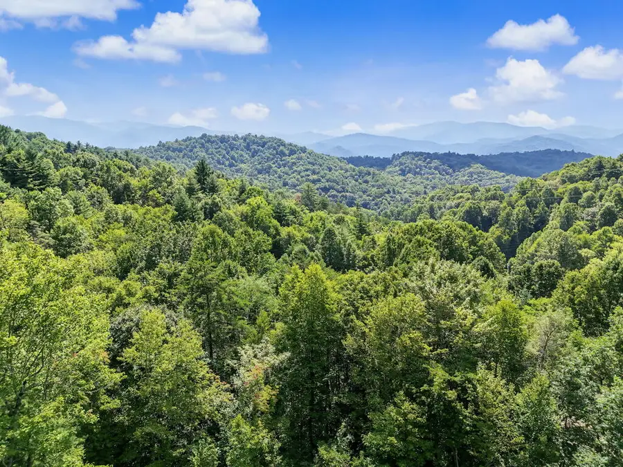 455 Raymond Wilson Rd, Topton, NC 28781 - #3