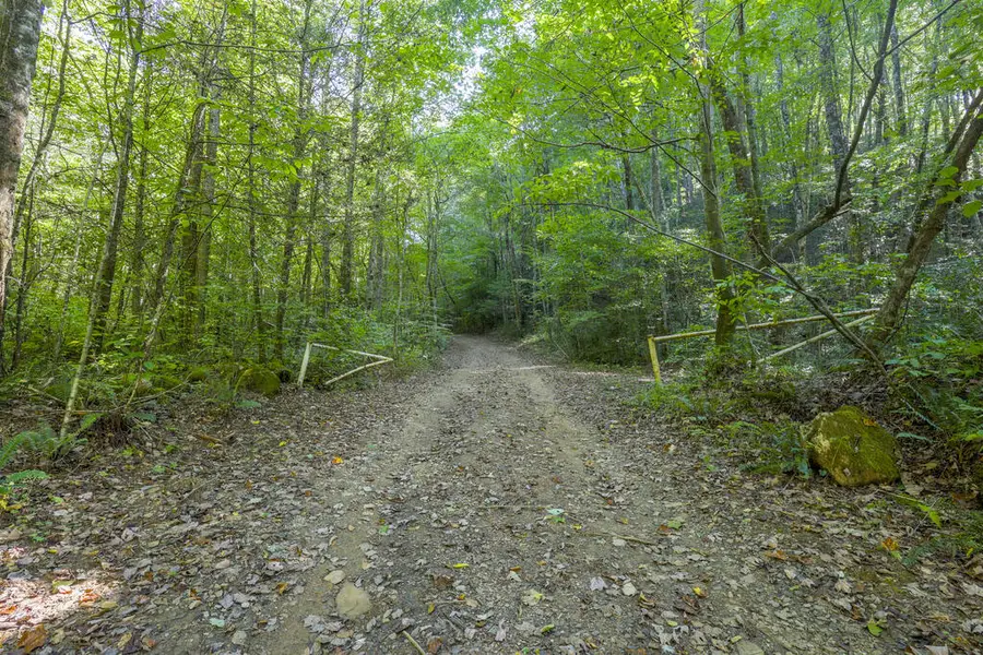 90 AC Tree House Road, Andrews, NC 28901 - #2