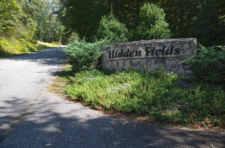 43 Hidden Fields Road, Hiawassee, GA 30546 - #2