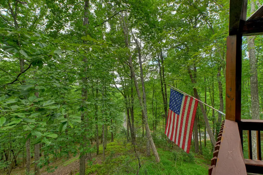 466 Hoot Owl Hill, Morganton, GA 30560 - #3