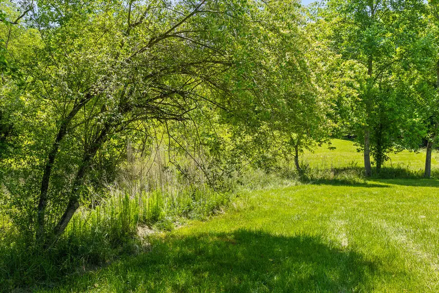 Lot 12 Squirrel Hunting Road, Morganton, GA 30560 - #2