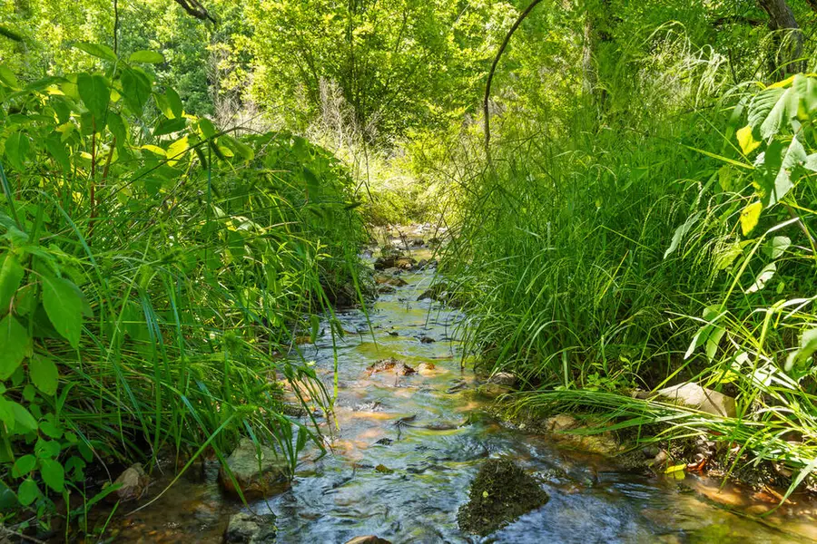 Lot 12 Squirrel Hunting Road, Morganton, GA 30560 - #3