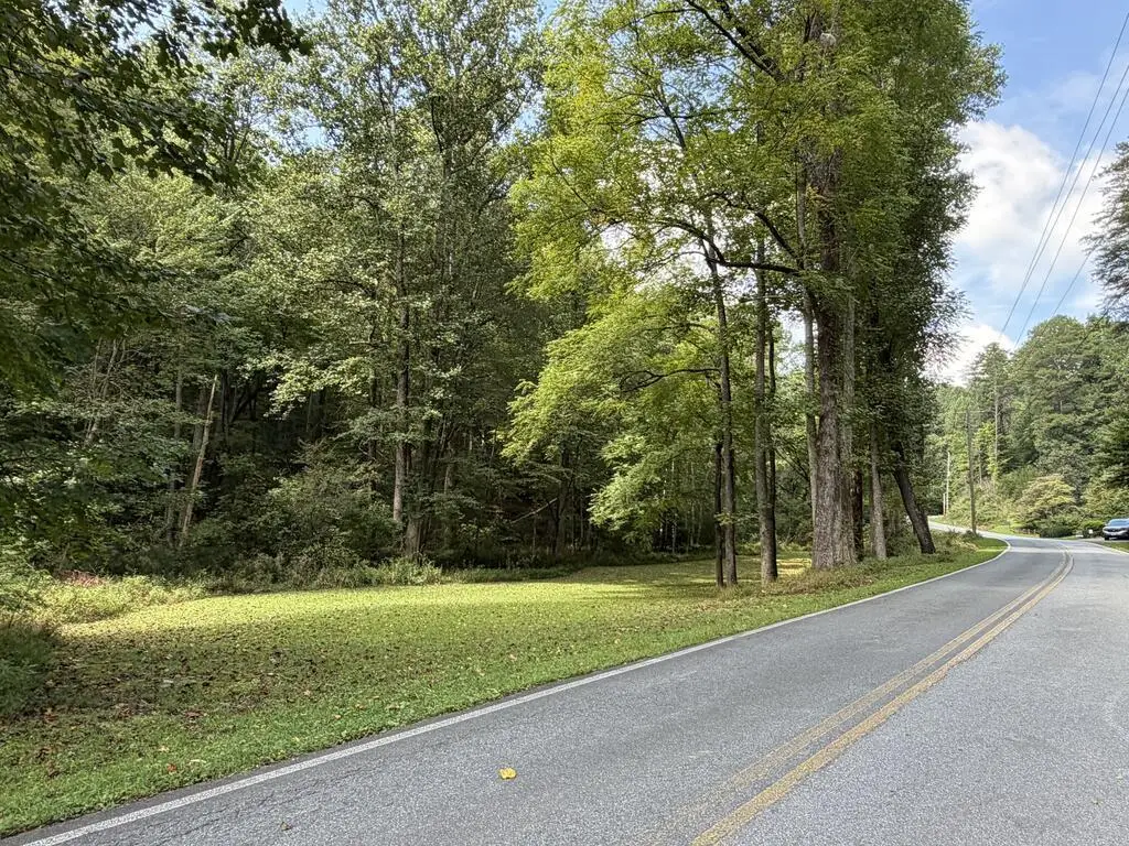 6.13 AC Lucius Road, Cherry Log, GA 30522 - #1