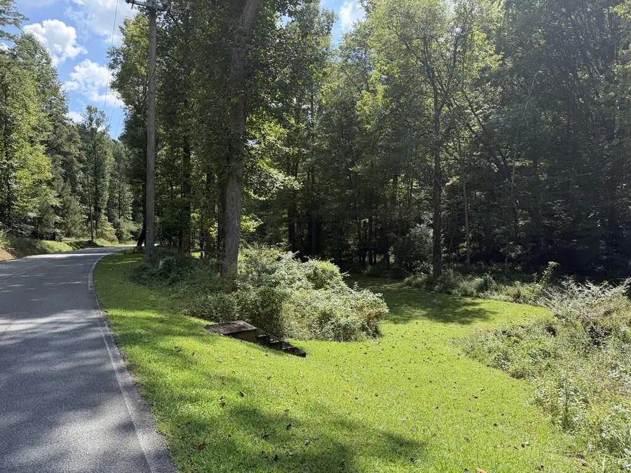 6.13 AC Lucius Road, Cherry Log, GA 30522 - #2