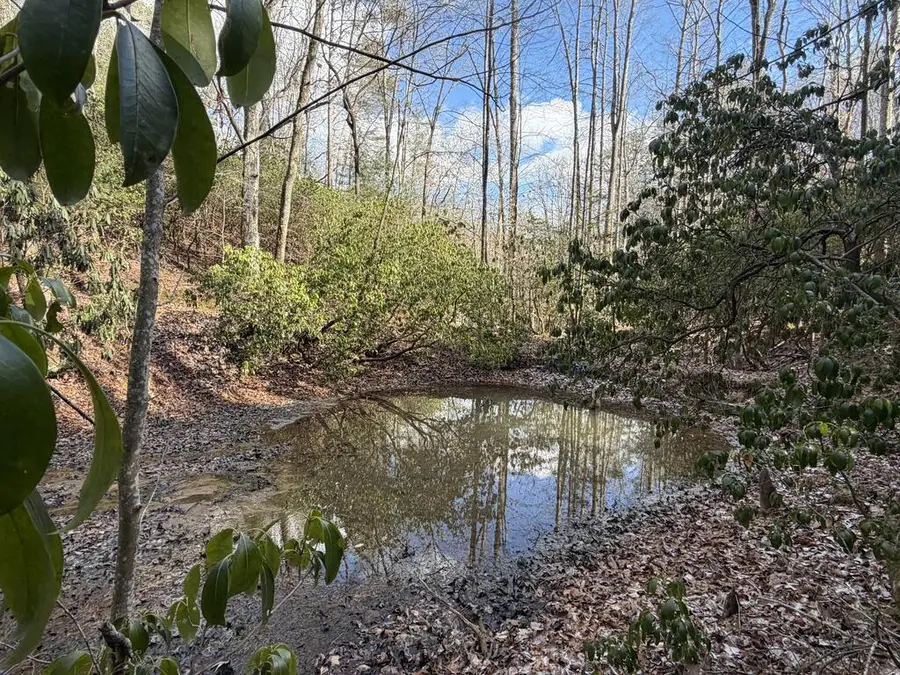 636 Bear Paw Trail, Blue Ridge, GA 30513 - #3