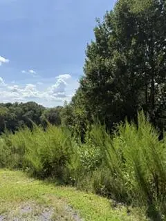 Lot 62 Big Valley Lane, Morganton, GA 30560
