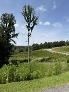 Lot 62 Big Valley Lane, Morganton, GA 30560 - #3