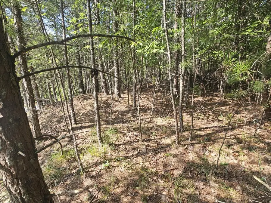 Lot 76 Wildcat Drive, Murphy, NC 28906 - #2