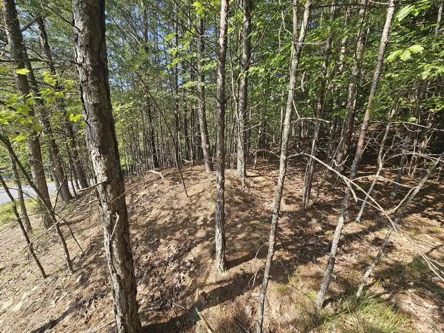 Lot 76 Wildcat Drive, Murphy, NC 28906 - #3