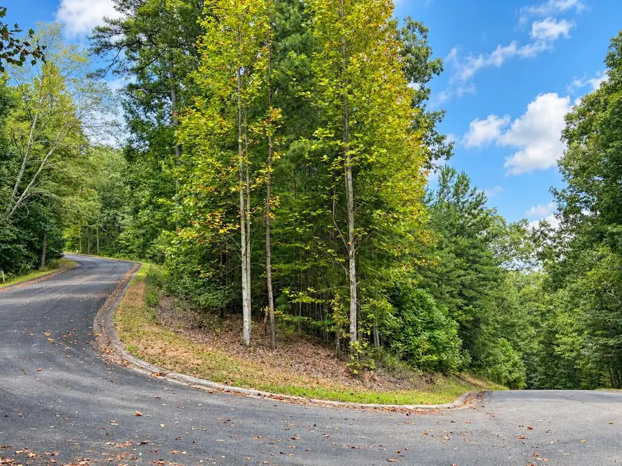 35 Saw Blade Lane, Ellijay, GA 30540 - #2