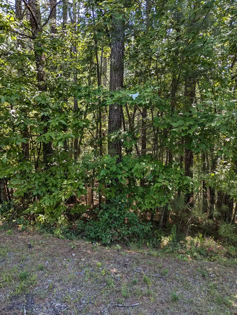 Lot 4 Highland Woods Road, Copperhill, TN 37317 - #2