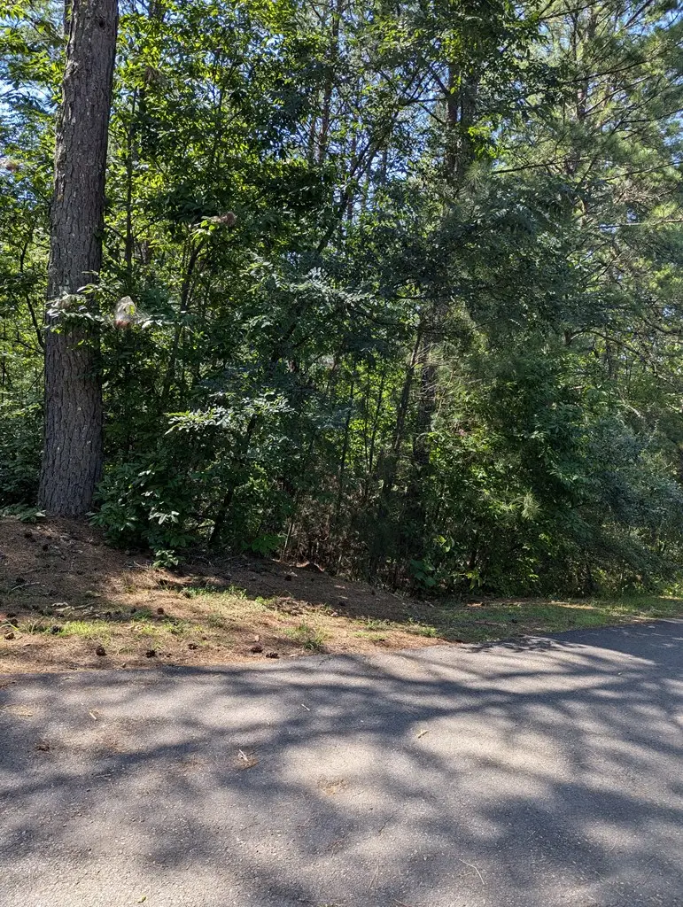 Lot 4 Highland Woods Road, Copperhill, TN 37317 - #3