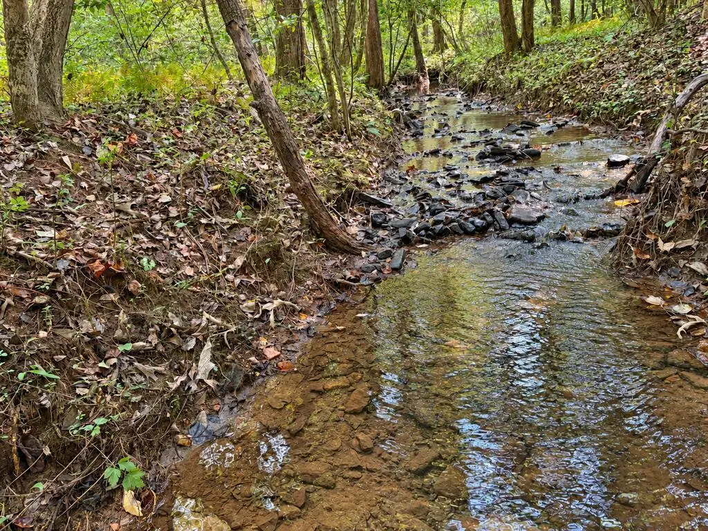 Lot 6 Mountain Brooks Road, Blue Ridge, GA 30513 - #1