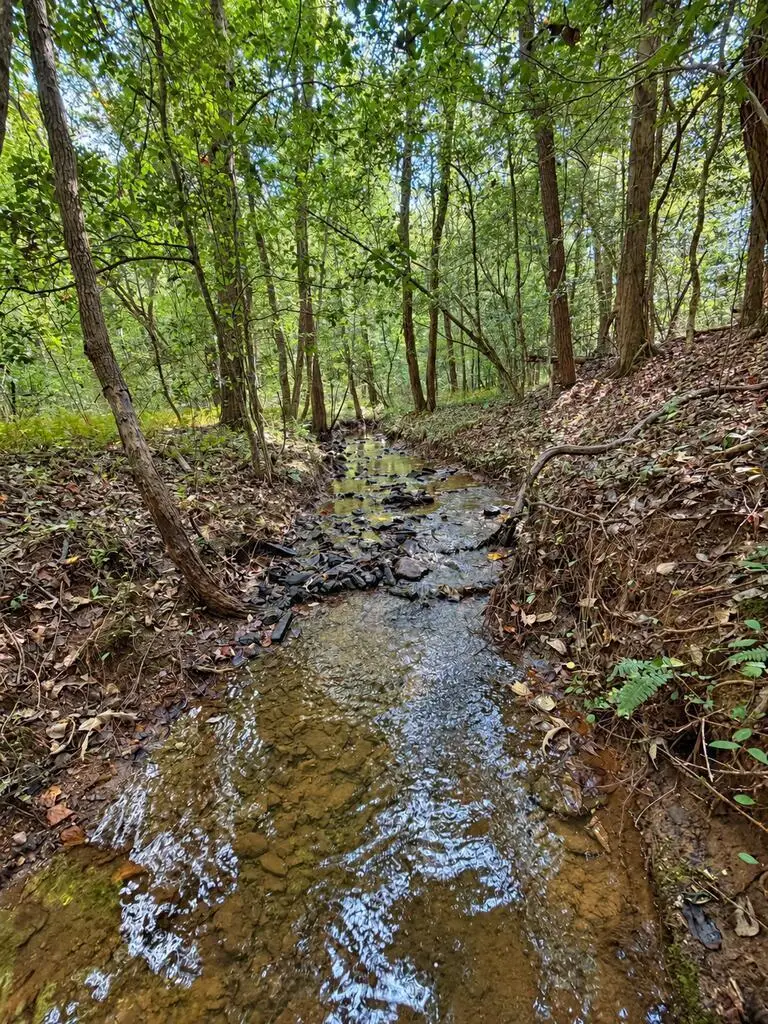 Lot 6 Mountain Brooks Road, Blue Ridge, GA 30513 - #2