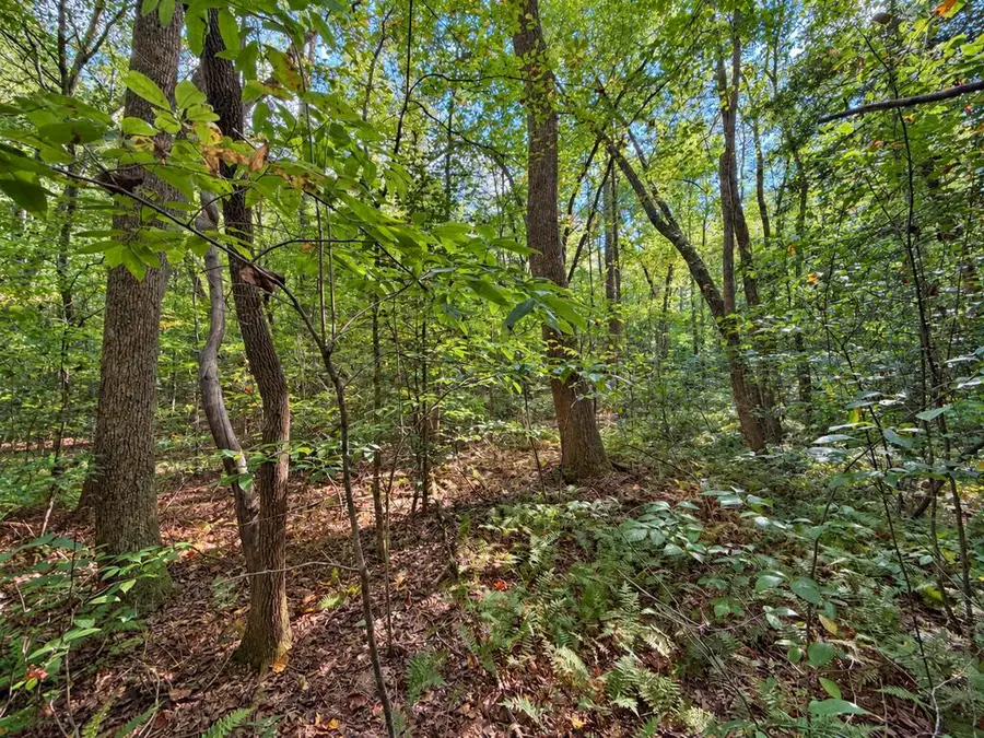 Lot 6 Mountain Brooks Road, Blue Ridge, GA 30513 - #3