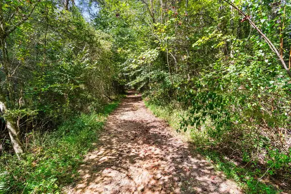 SR 1305 Qualla Road, Hayesville, NC 28904