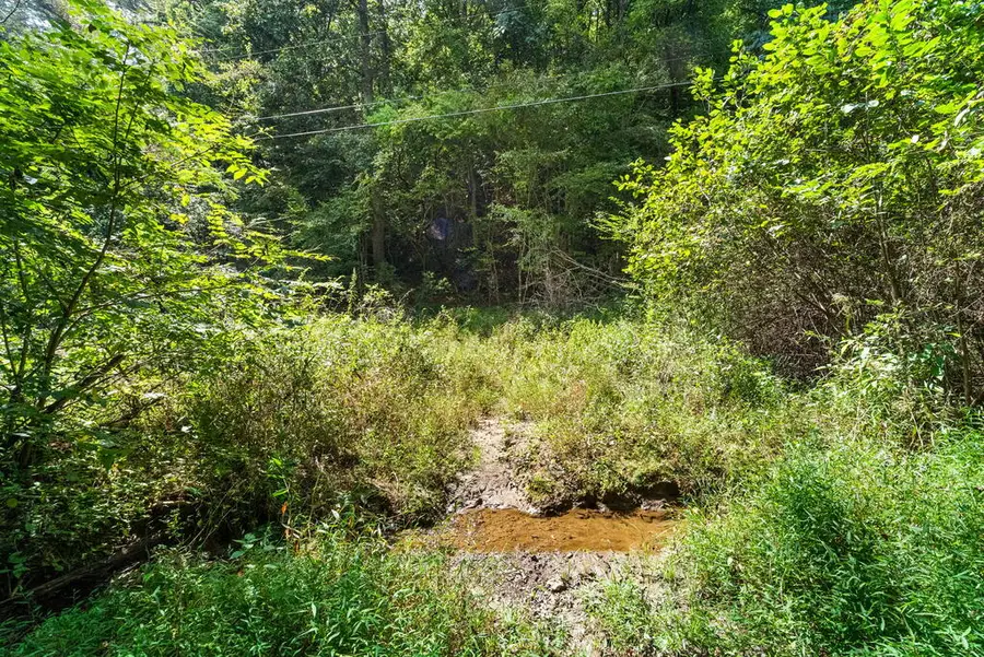 SR 1305 Qualla Road, Hayesville, NC 28904 - #3