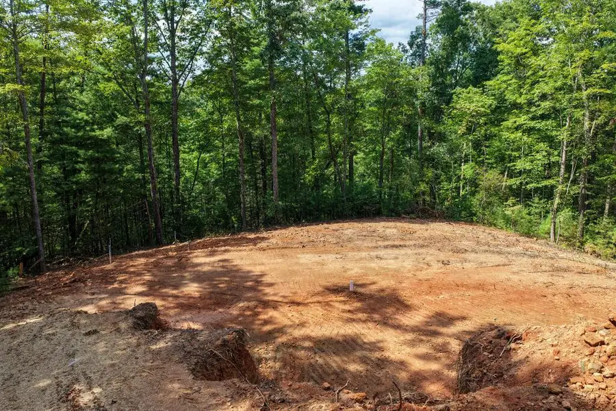 Lot 1 Rock Creek, Cherry Log, GA 30522 - #2