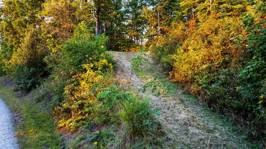 Lot 45 Timberwood Drive, Marble, NC 28905 - #2