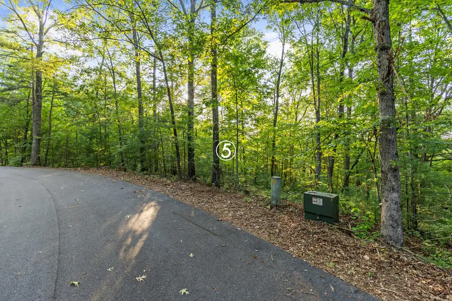 lot 5 Timber Oaks Drive, Turtletown, TN 37391 - #2