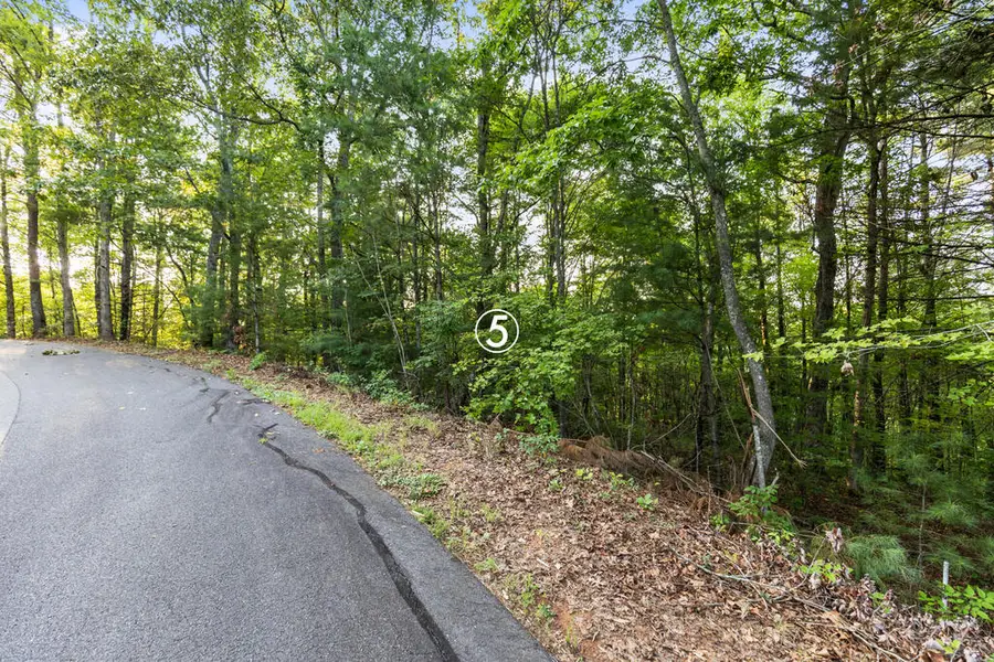 lot 5 Timber Oaks Drive, Turtletown, TN 37391 - #3