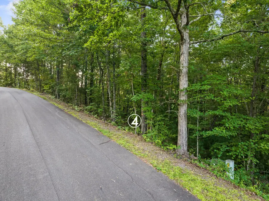 lot 4 Timber Oaks Drive, Turtletown, TN 37391 - #2