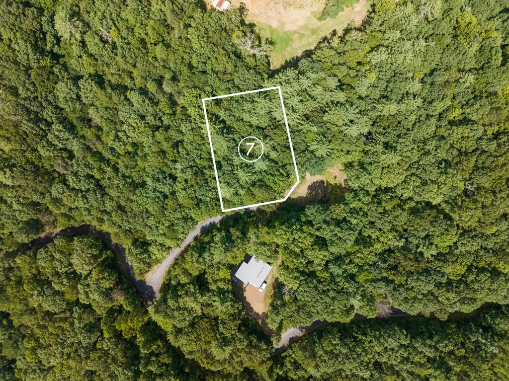 lot 7 Timber Lane Court, Turtletown, TN 37391 - #1