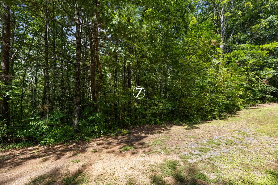 lot 7 Timber Lane Court, Turtletown, TN 37391 - #2
