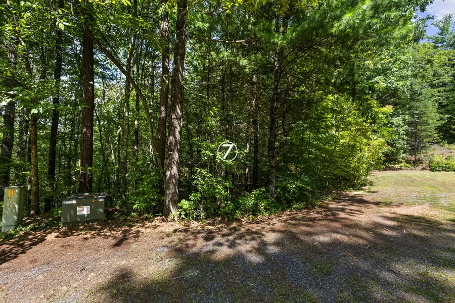 lot 7 Timber Lane Court, Turtletown, TN 37391 - #3