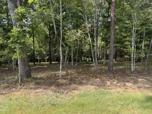 Lot 39 Tall Pine Trail, Mineral Bluff, GA 30559 - #1