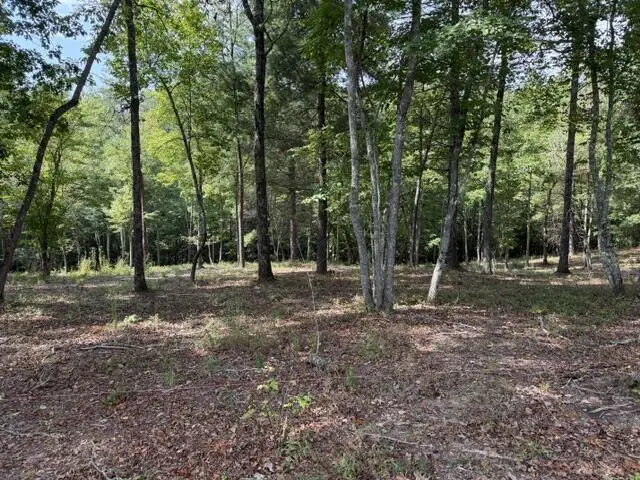 Lot 39 Tall Pine Trail, Mineral Bluff, GA 30559 - #2