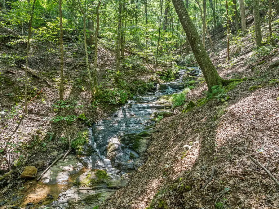 166 Walnut Mountain Court, Ellijay, GA 30536 - #3