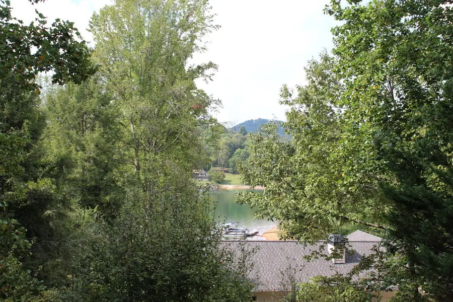 310 Licklog Court, Hayesville, NC 28904 - #2