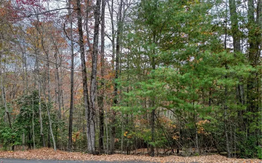 LT 10 Amy Lynn Drive, Blairsville, GA 30512 - #2