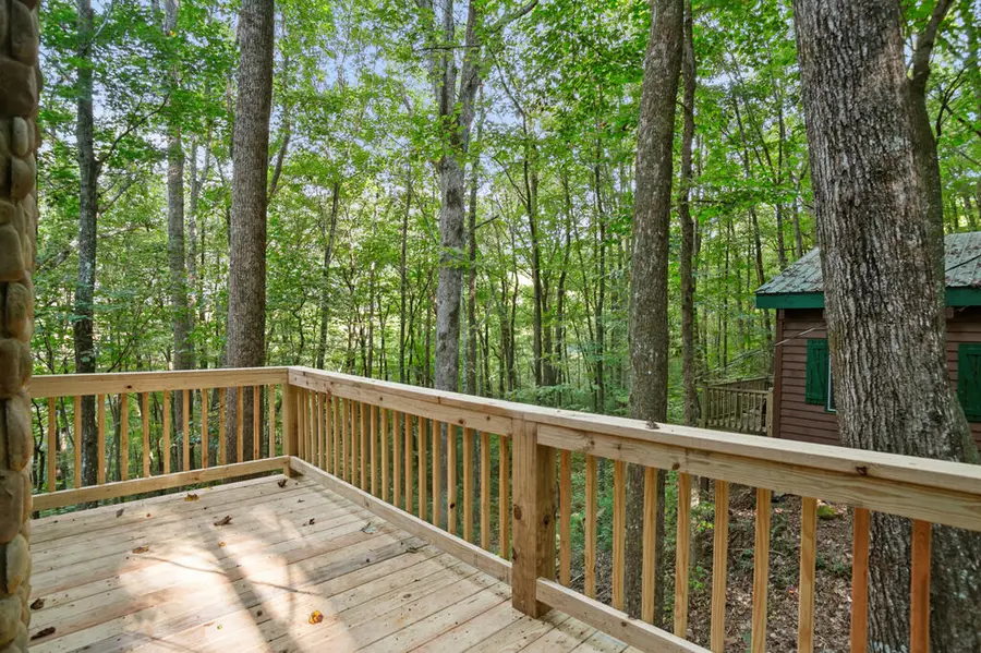 1274 Little Rock Creek Road, Cherry Log, GA 30522 - #3