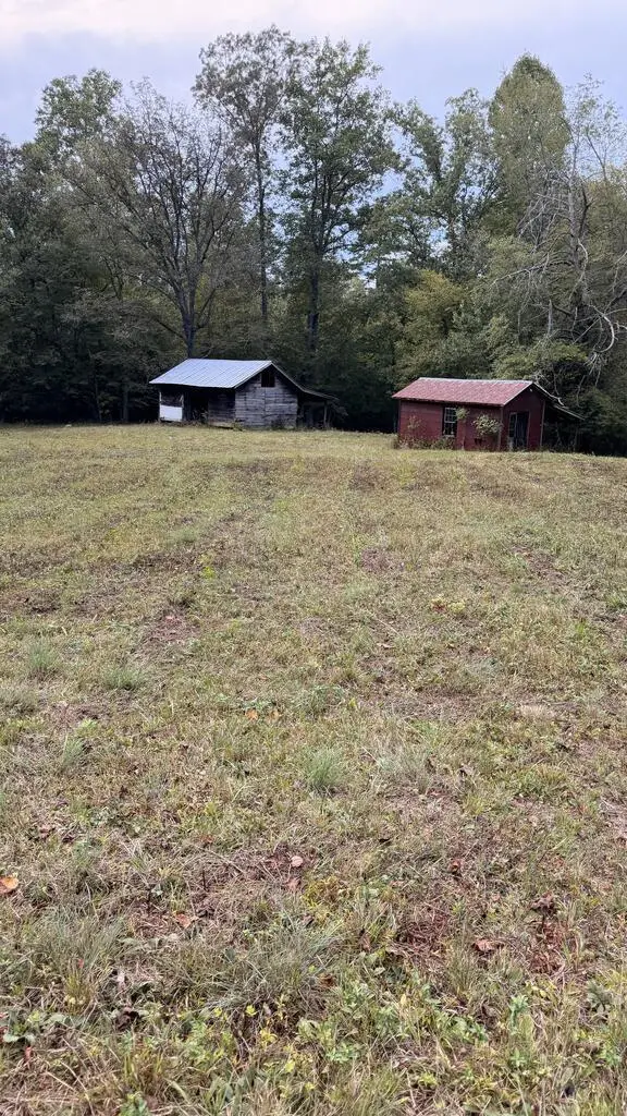 00 Humphrey Mill Road, Mineral Bluff, GA 30559 - #1
