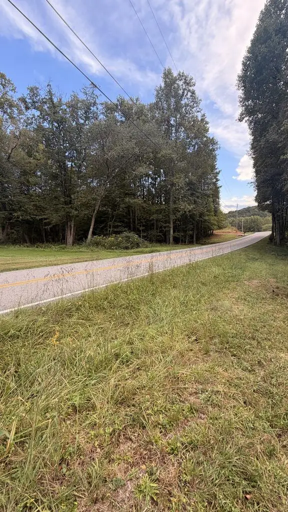00 Humphrey Mill Road, Mineral Bluff, GA 30559 - #2