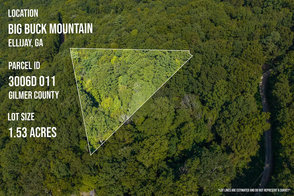 Lot 281 Irma Court, Ellijay, GA 30540 - #1