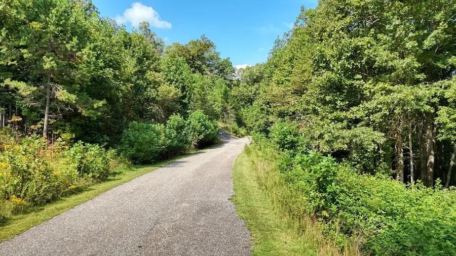 Lot 43 Coras View, Blairsville, GA 30512 - #3