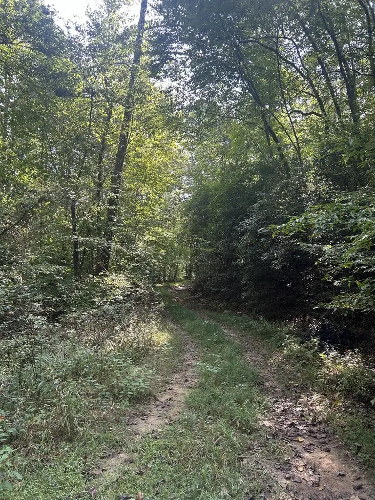 Tr 5 Mountain Pass Drive, Hayesville, NC 28904 - #1