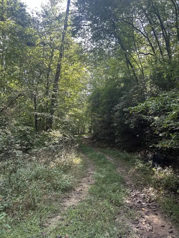 Tr 5 Mountain Pass Drive, Hayesville, NC 28904