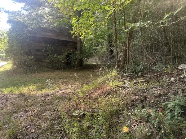 000 Brendle Cove Lane, Hayesville, NC 28904
