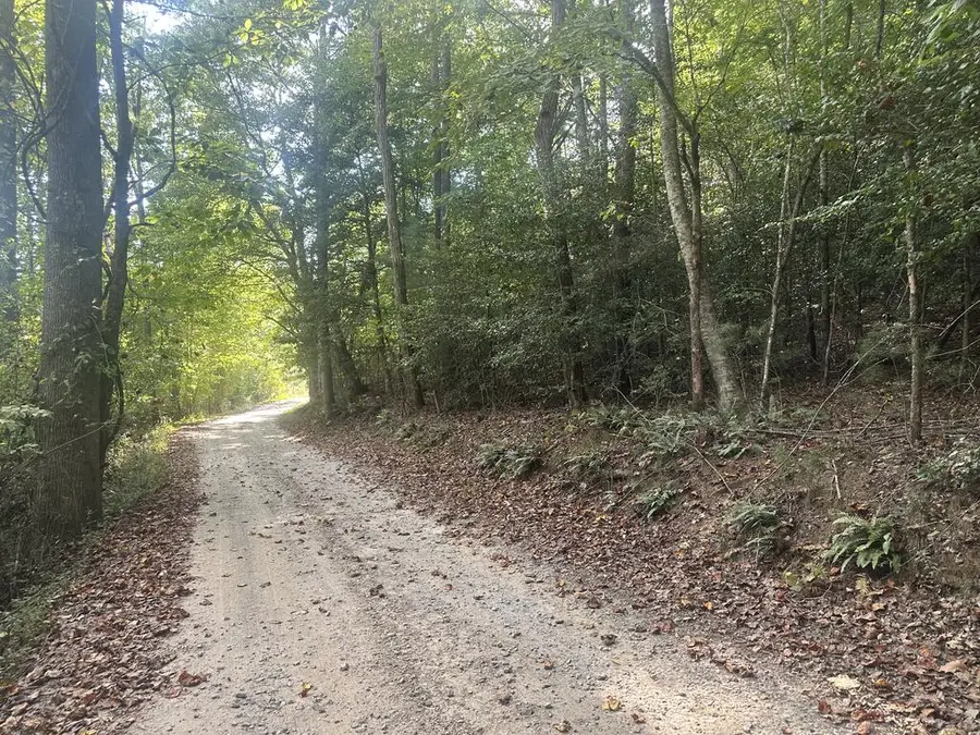 000 Brendle Cove Lane, Hayesville, NC 28904 - #2