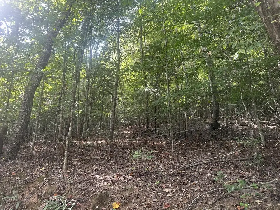000 Brendle Cove Lane, Hayesville, NC 28904 - #3