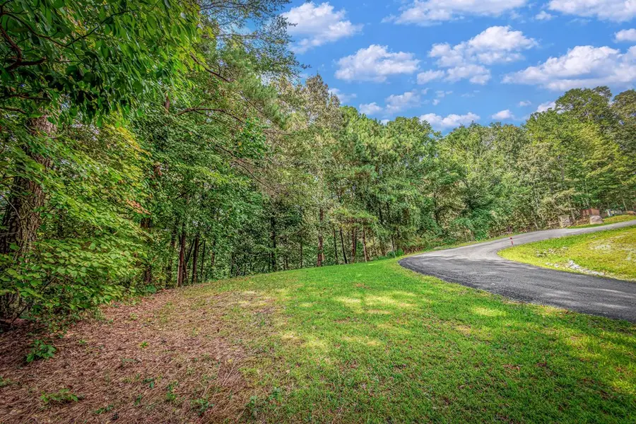 Lot 104 Mountain Creek Hollow Drive, Talking Rock, GA 30175 - #2